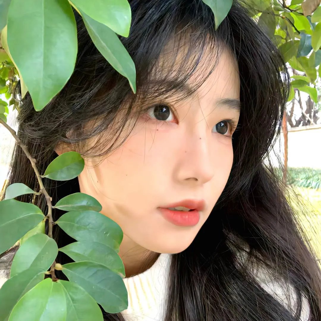 暴雨寒梅